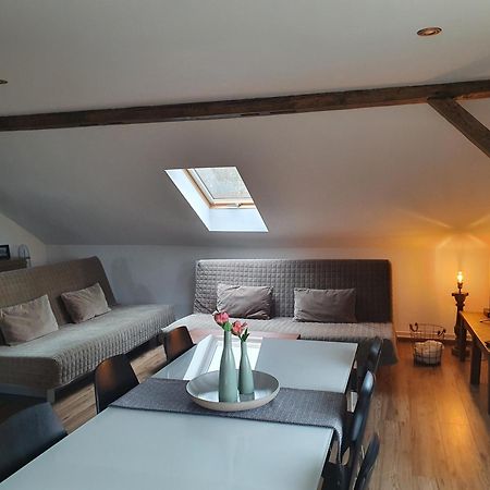 Apartmany Silvestr Dolni Rychnov Экстерьер фото