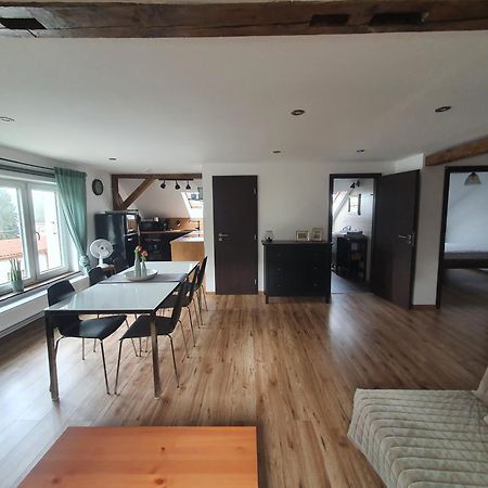 Apartmany Silvestr Dolni Rychnov Экстерьер фото