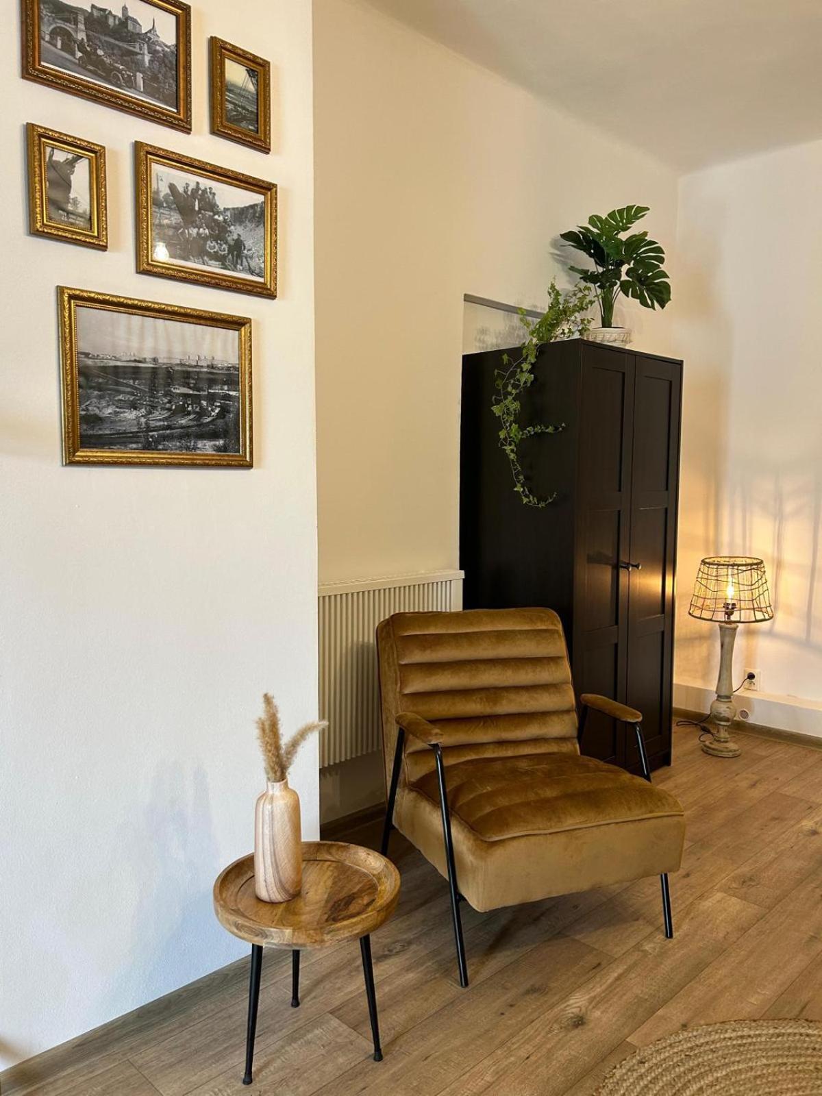 Apartmany Silvestr Dolni Rychnov Экстерьер фото